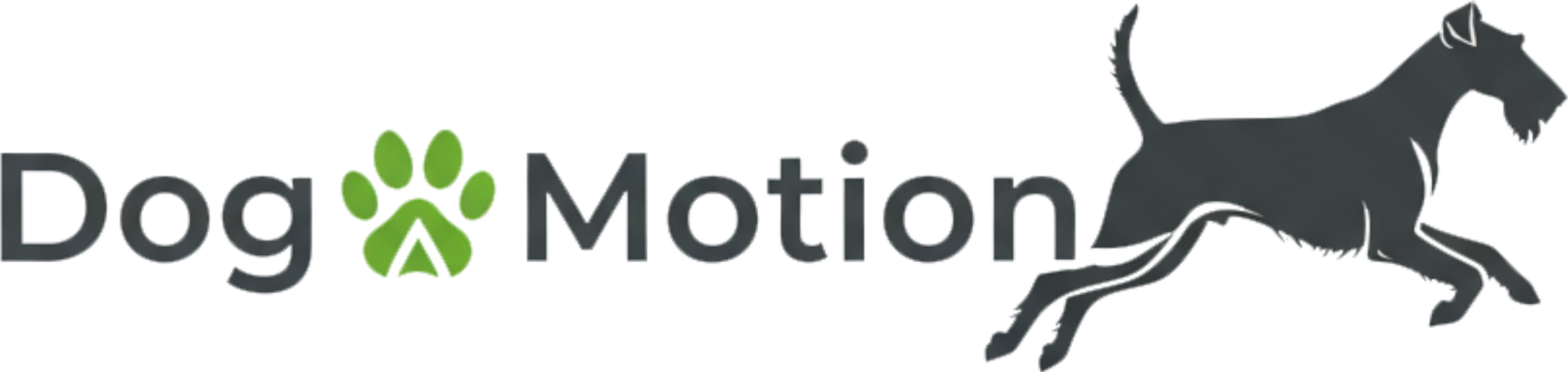 dogmotion
